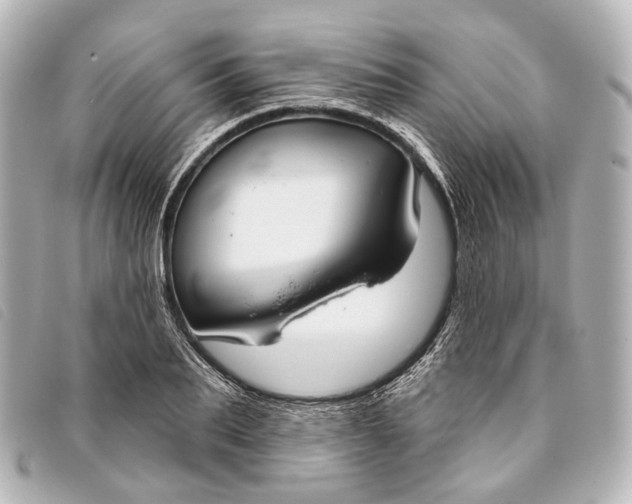 X0000093360887200710251128
