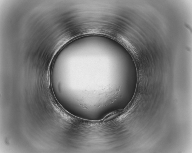 X0000093360892200710251128
