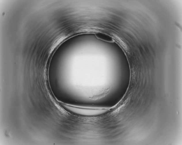 X0000093360893200710251128