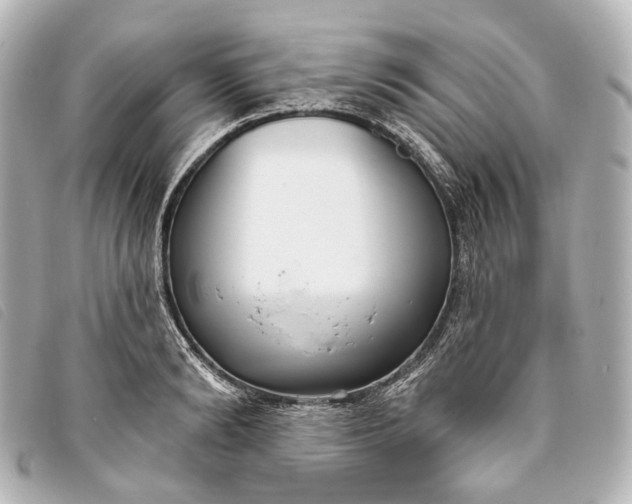X0000093360894200710251128