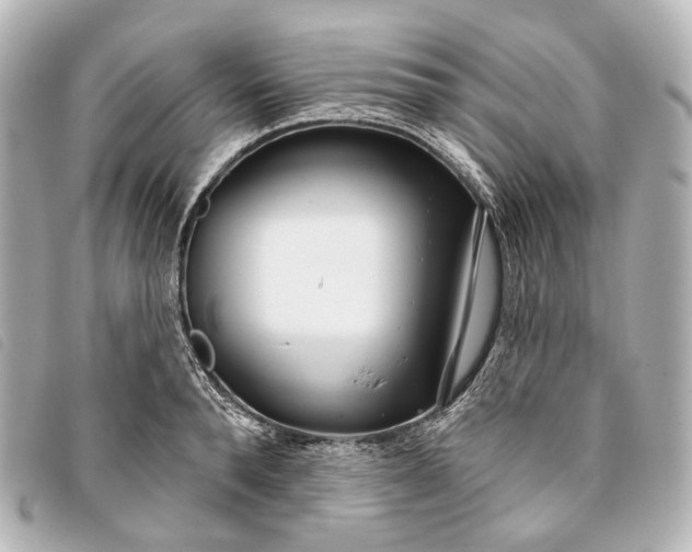 X0000093360896200710251128