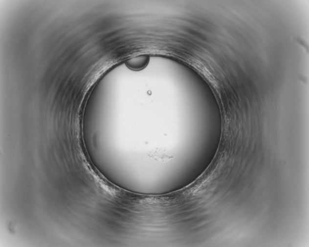 X0000093360898200710251128