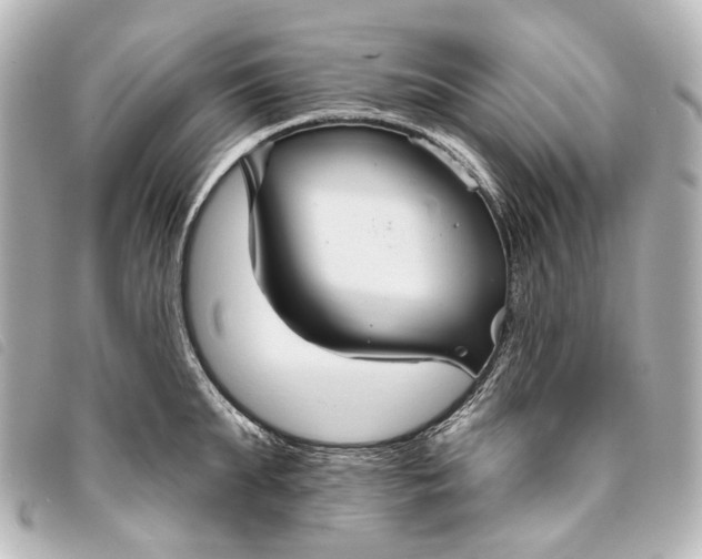 X0000093360903200710251128