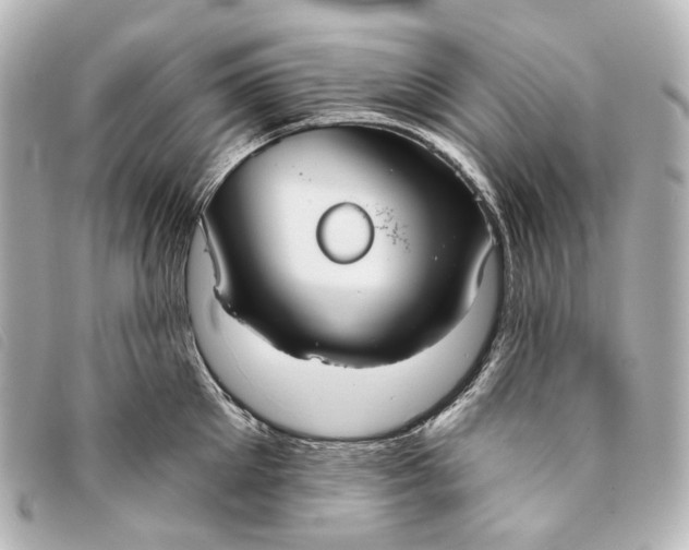 X0000093360905200710251128