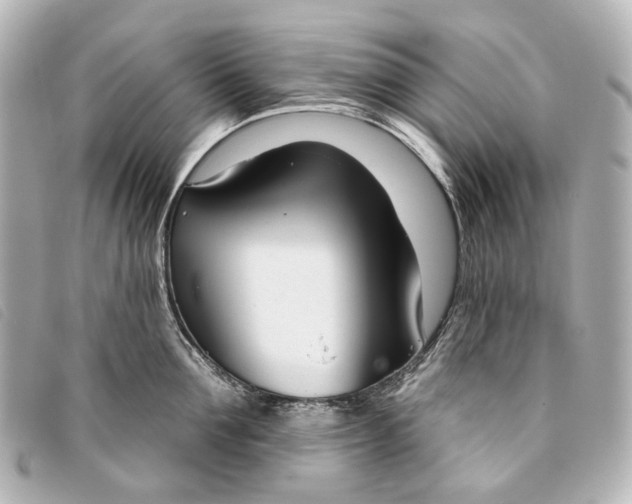 X0000093360907200710251128