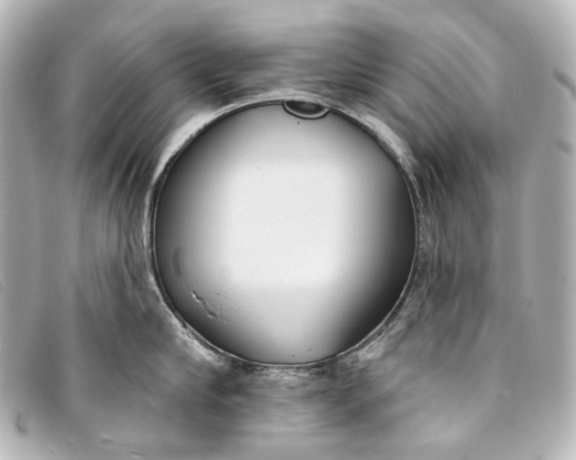 X0000093360910200710251128