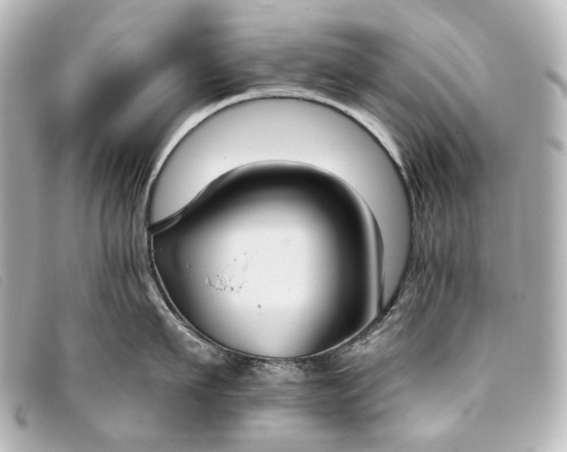 X0000093360911200710251128