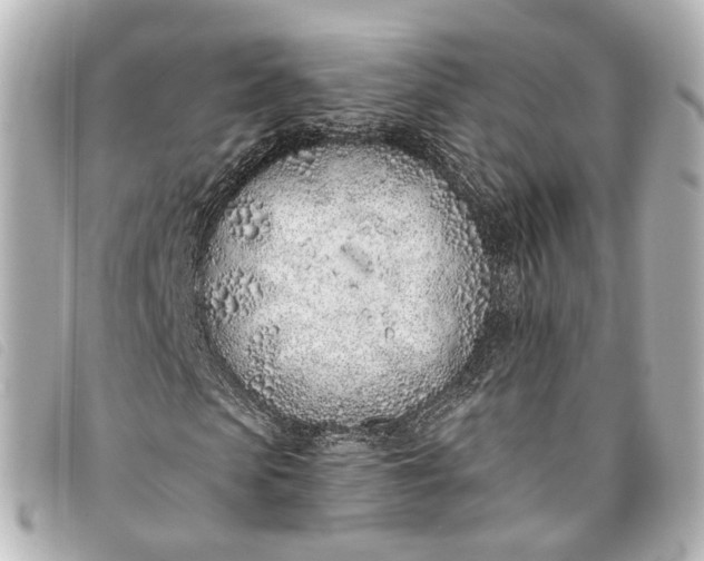X0000093360913200710251127