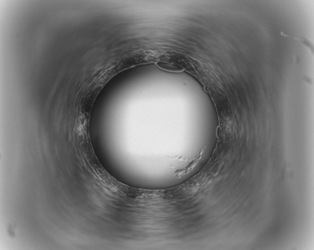 X0000093360914200710251127