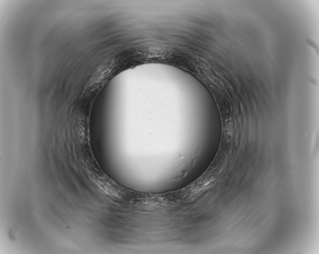 X0000093360916200710251127