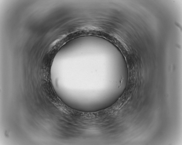 X0000093360919200710251127