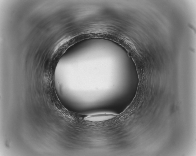 X0000093360920200710251128
