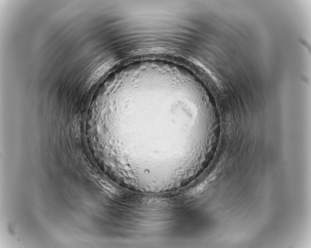 X0000093360921200710251128