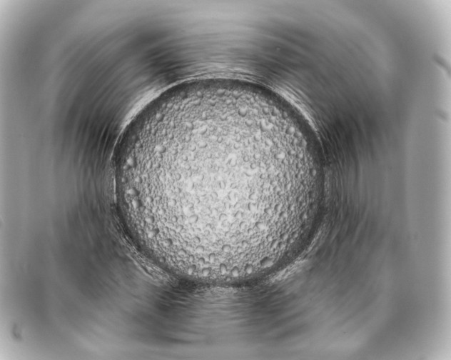 X0000093360925200710251128