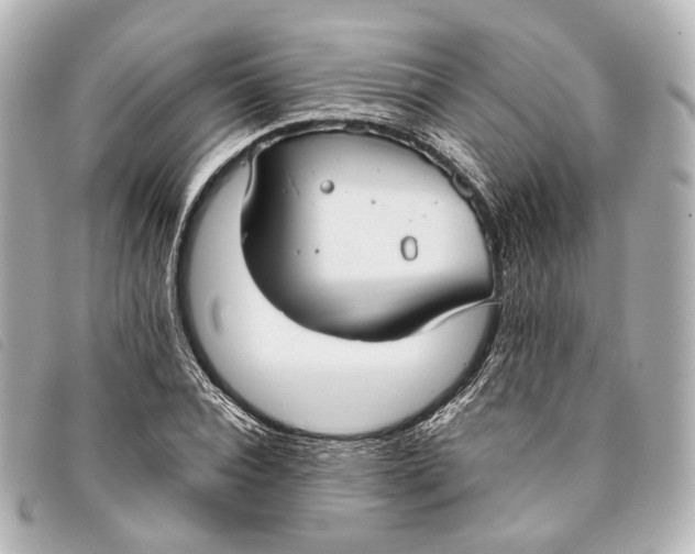 X0000093360928200710251128