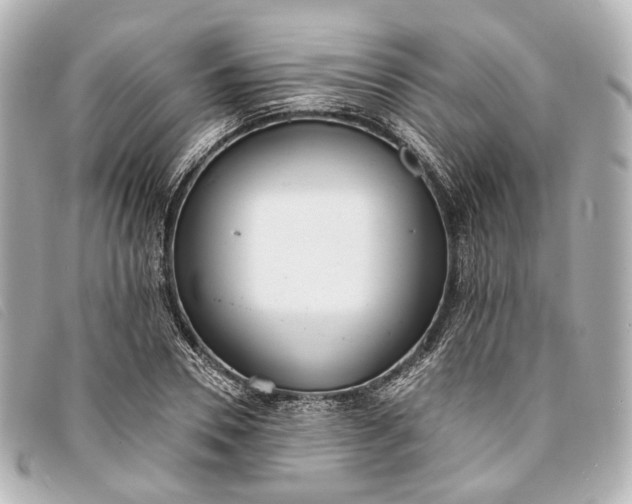 X0000093360930200710251128