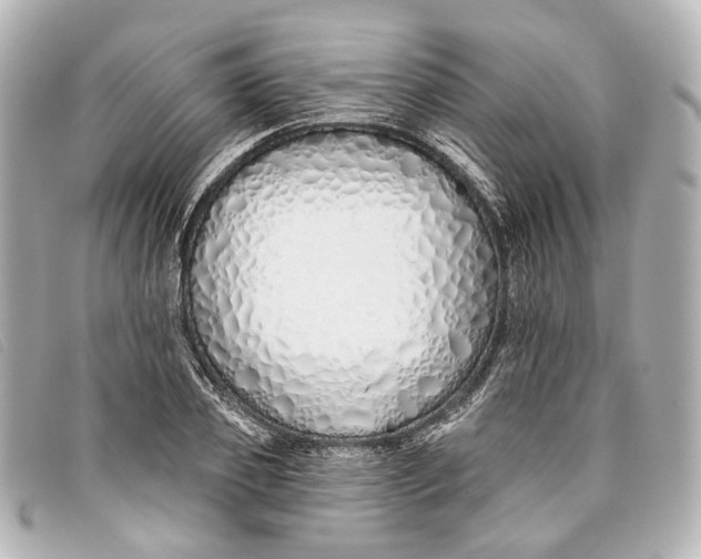 X0000093360933200710251128