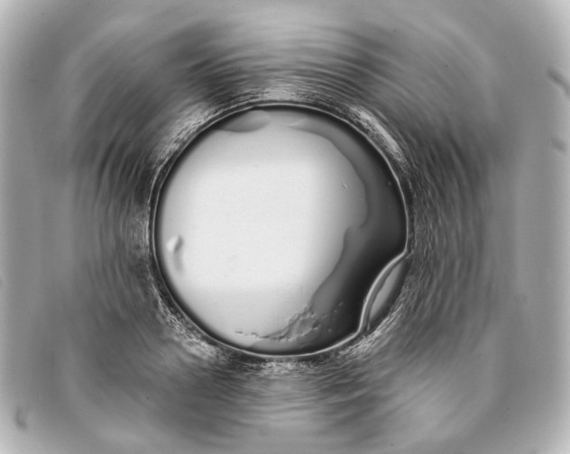 X0000093360938200710251128