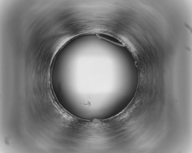 X0000093360948200710251128