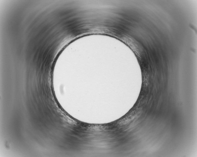 X0000093360950200710251128