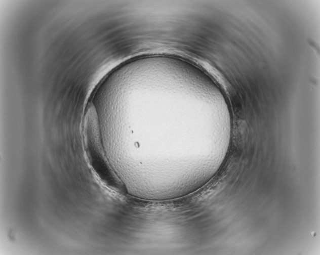 X0000093360951200710251128