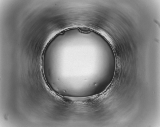 X0000093360958200710251128