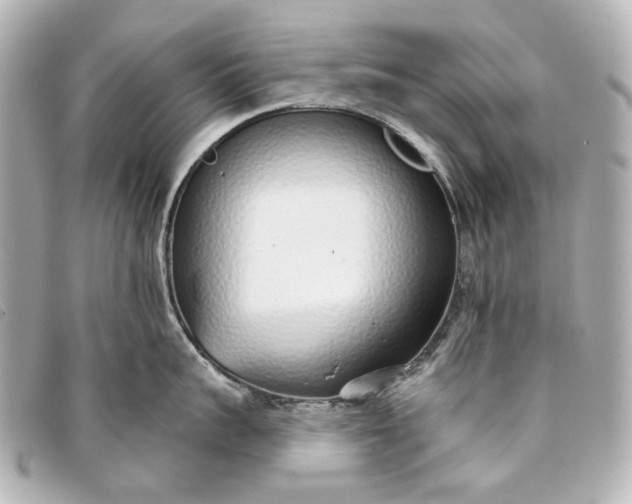 X0000093360959200710251128