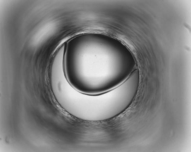 X0000093360960200710251128