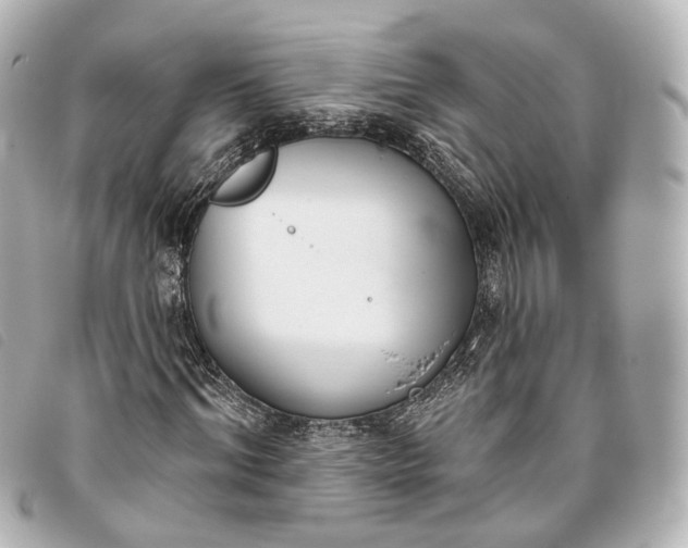 X0000093360964200710251127