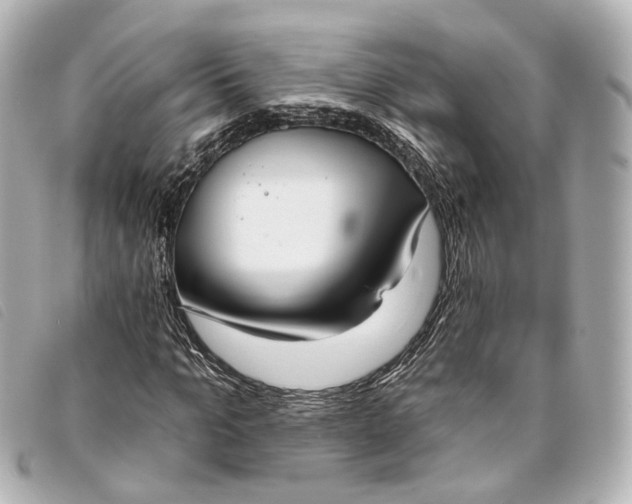 X0000093360965200710251127