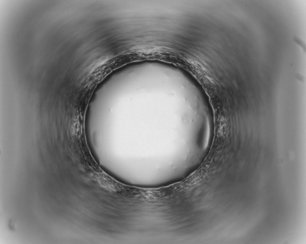 X0000093360966200710251127
