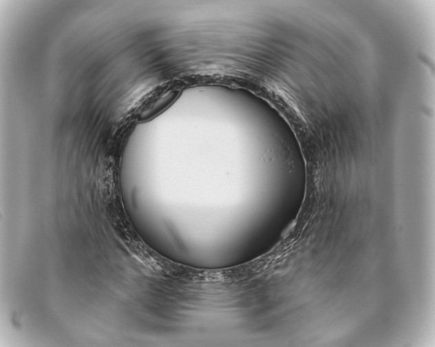 X0000093360968200710251127