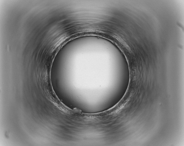 X0000093360969200710251127
