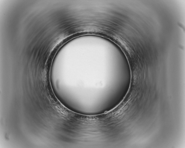 X0000093360975200710251127