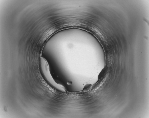 X0000093360977200710251127