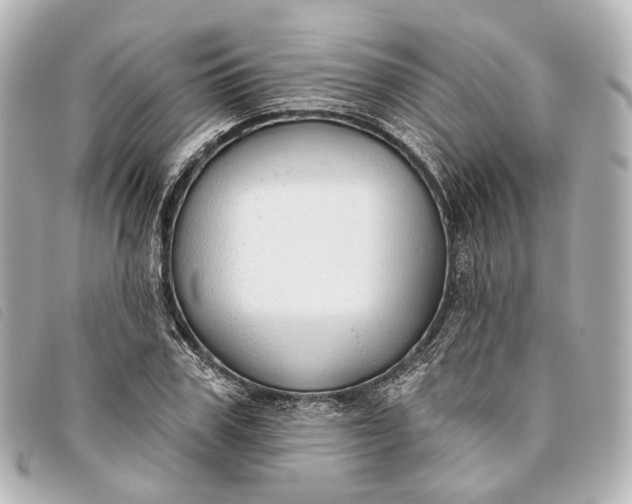 X0000093360979200710251127