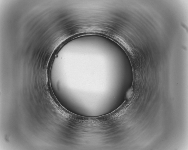 X0000093360980200710251127