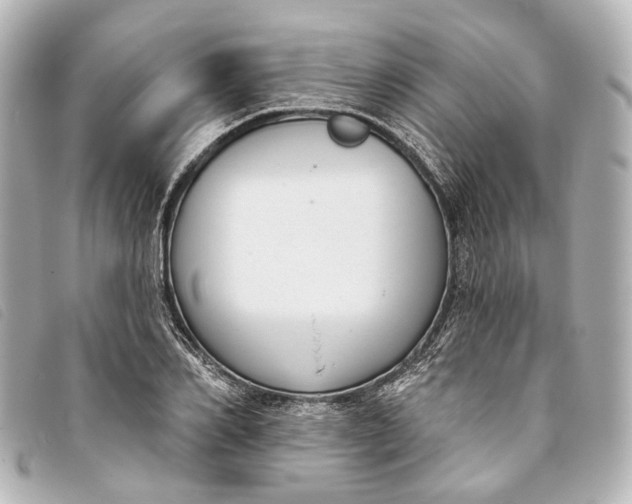 X0000093360982200710251127