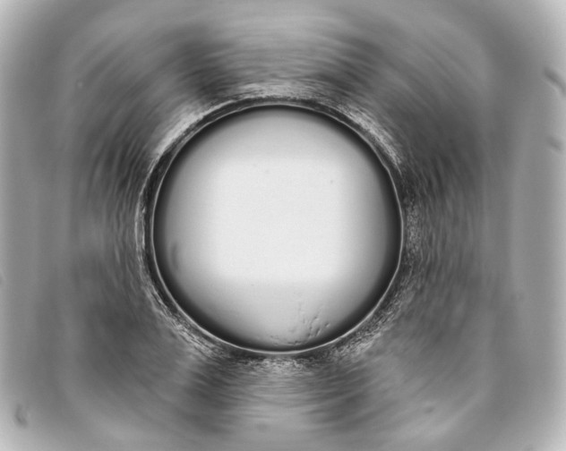 X0000093360983200710251127