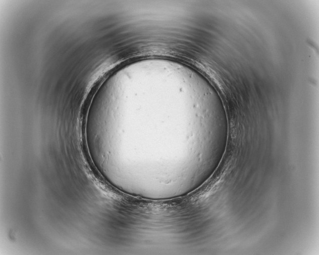 X0000093360987200710251127