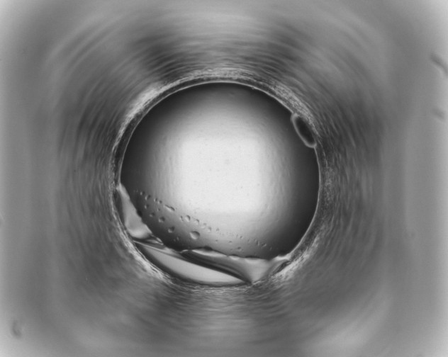 X0000093360989200710251127