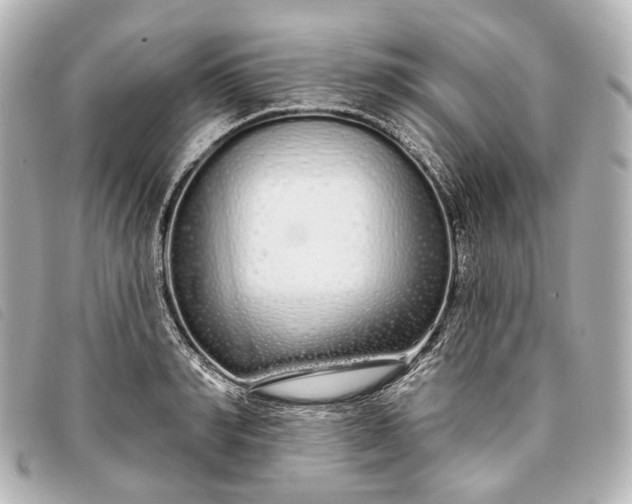 X0000093360990200710251127