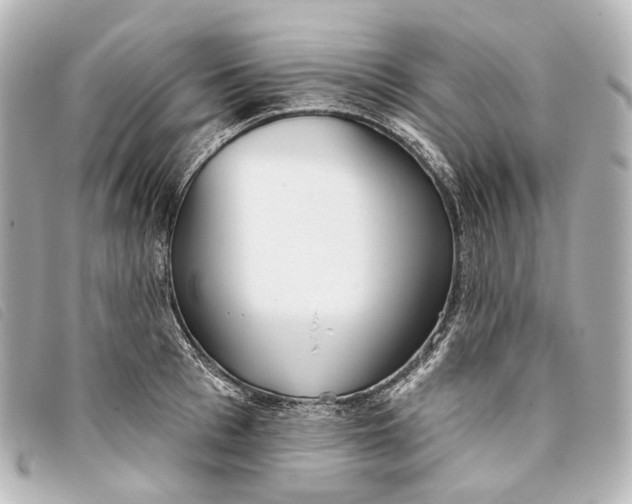 X0000093360993200710251127