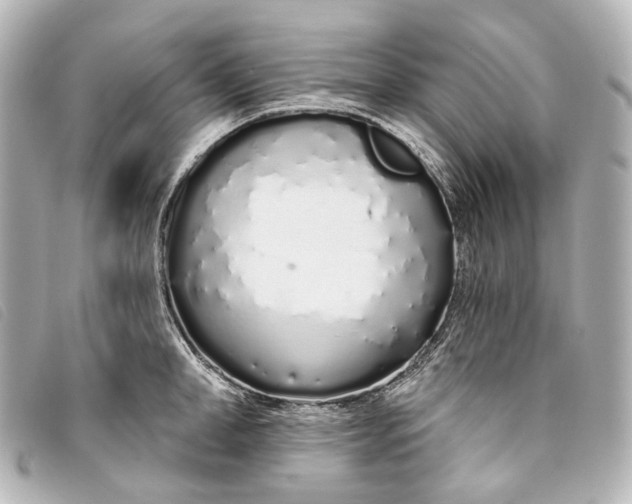 X0000093360998200710251127