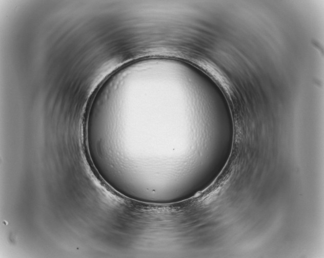 X0000093360999200710251127