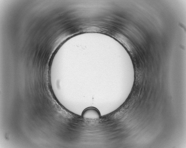 X0000093361000200710251127