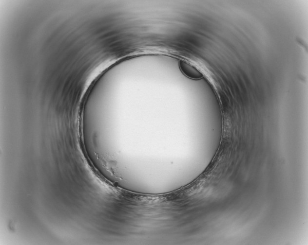 X0000093361003200710251127