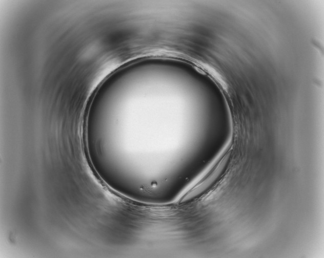 X0000093361007200710251127