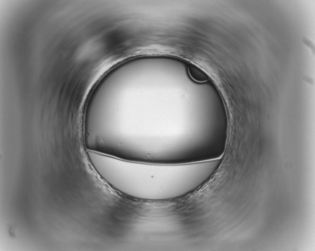 X0000093361008200710251127
