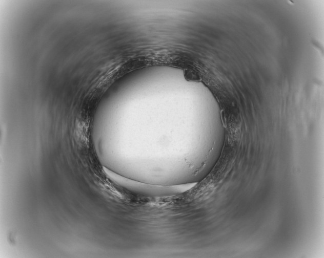 X0000093361010200710251126